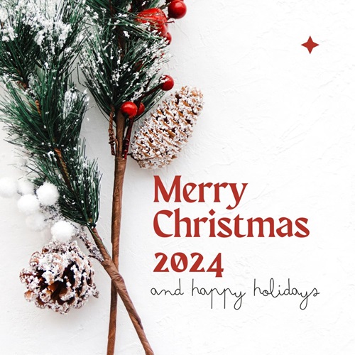 Merry Christmas 2024 Cards for Family Friends