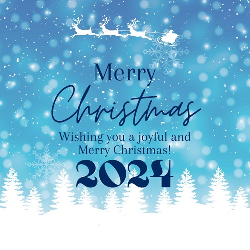 Merry Christmas 2024 Cards for Family