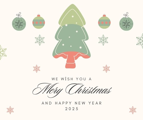 Merry Christmas 2024 Cards