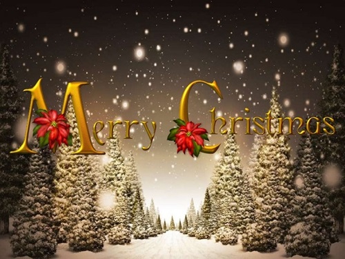Merry Christmas Tree 2023 Images Free