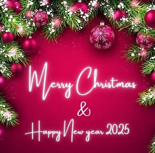 Merry Christmas and Happy New Year 2025 Whatsapp Status