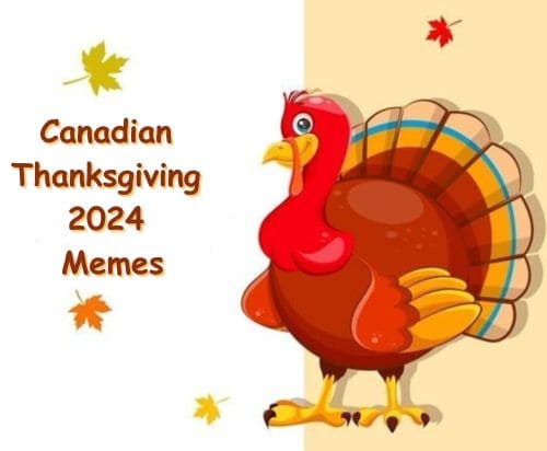 Canadian Thanksgiving 2024 Memes