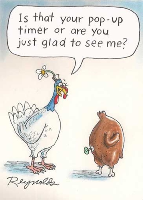 Funny Happy Thanksgiving 2024 Images Free