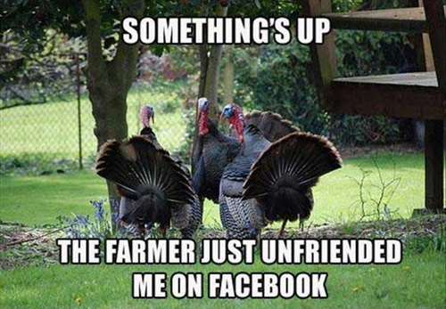 Funny Happy Thanksgiving 2024 Images