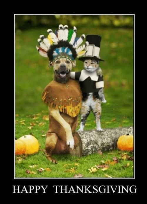 Funny Thanksgiving 2024 Images for Facebook