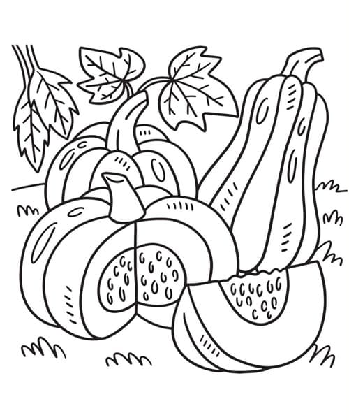 Thanksgiving 2024 Coloring Pages for Kids Free Download