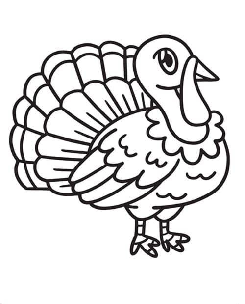 Turkey Thanksgiving 2024 Coloring Pages for Kids