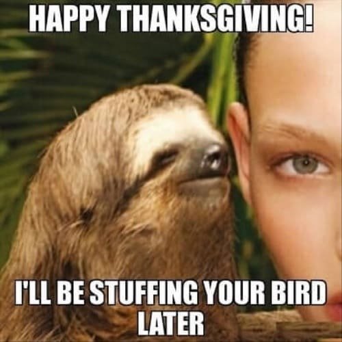 American Thanksgiving 2024 Memes Wallpaper