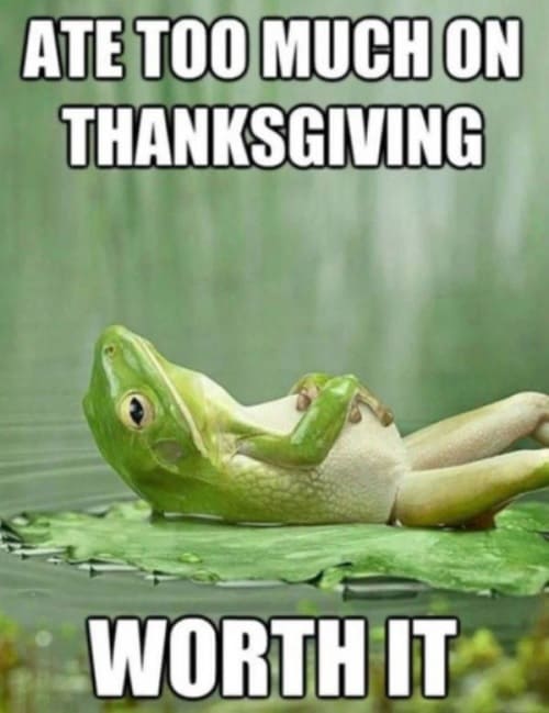 Funny Thanksgiving 2024 Quotes