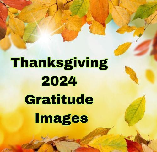 Thanksgiving 2024 Gratitude Images