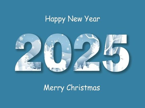 Happy New Year 2025 Photo Free