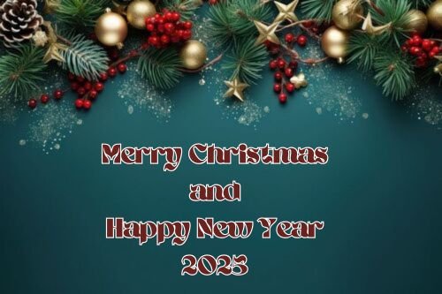 Merry Christmas and Happy New Year 2025 Photo (1)