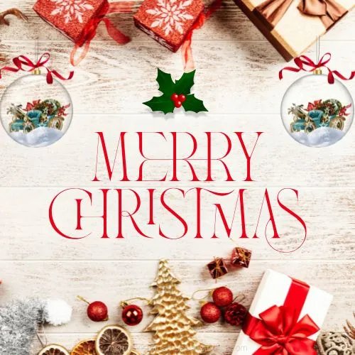 Funny Merry Christmas Images Funny Merry Christmas Images