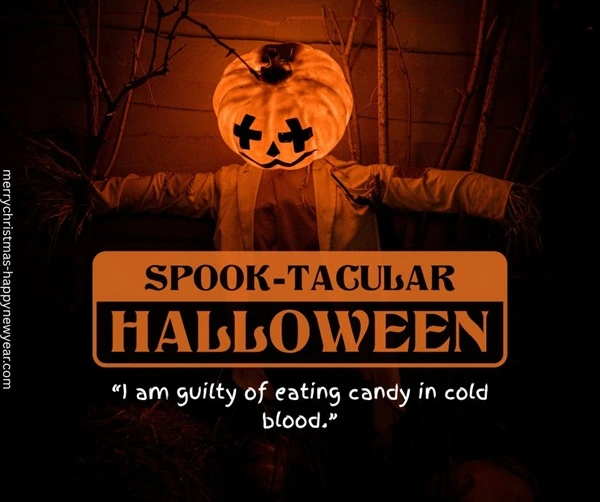 Funny Happy Halloween Sayings Funny Happy Halloween Sayings